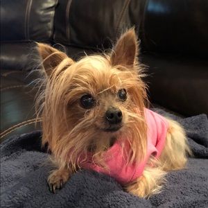 Meet your Posher, Rhonda